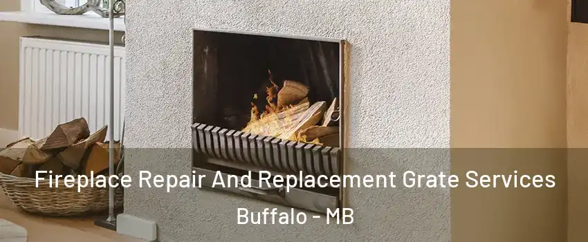  Fireplace Repair And Replacement Grate Services Buffalo - MB