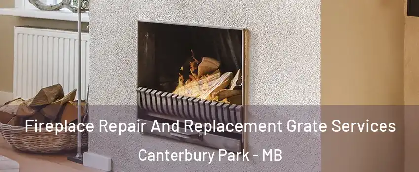 Fireplace Repair And Replacement Grate Services Canterbury Park - MB