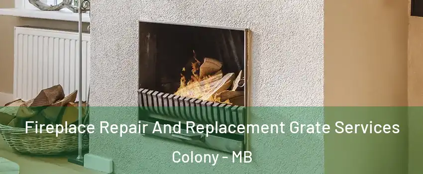  Fireplace Repair And Replacement Grate Services Colony - MB
