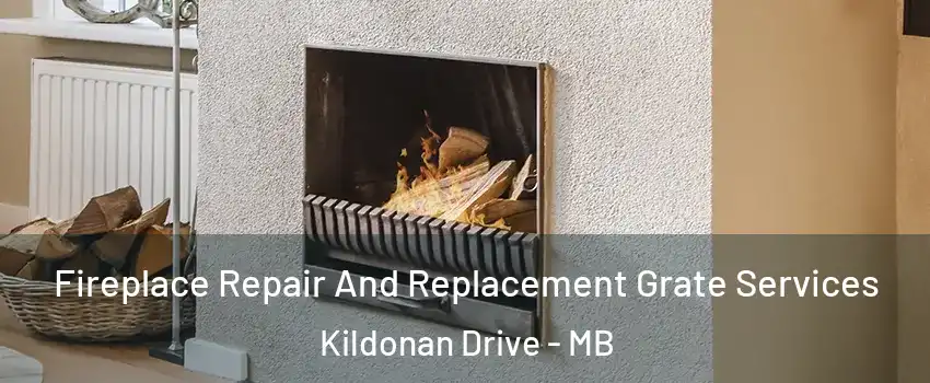  Fireplace Repair And Replacement Grate Services Kildonan Drive - MB