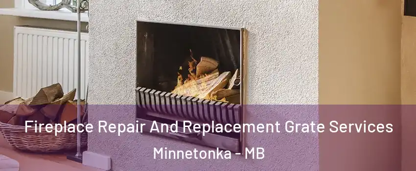  Fireplace Repair And Replacement Grate Services Minnetonka - MB