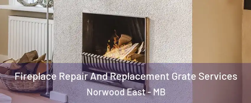  Fireplace Repair And Replacement Grate Services Norwood East - MB