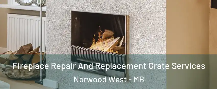  Fireplace Repair And Replacement Grate Services Norwood West - MB