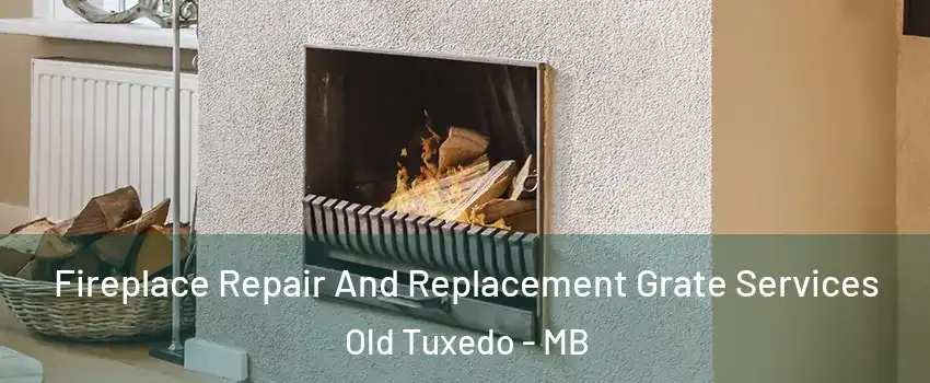  Fireplace Repair And Replacement Grate Services Old Tuxedo - MB