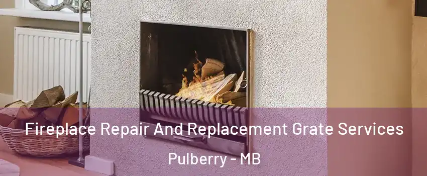  Fireplace Repair And Replacement Grate Services Pulberry - MB