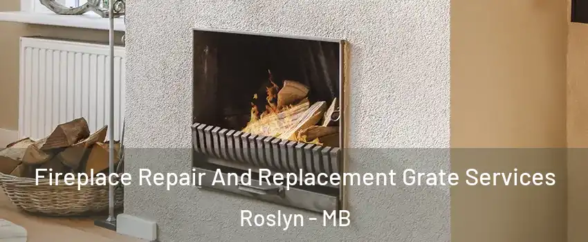  Fireplace Repair And Replacement Grate Services Roslyn - MB