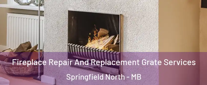  Fireplace Repair And Replacement Grate Services Springfield North - MB