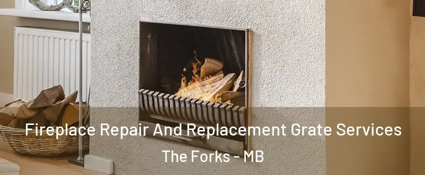  Fireplace Repair And Replacement Grate Services The Forks - MB