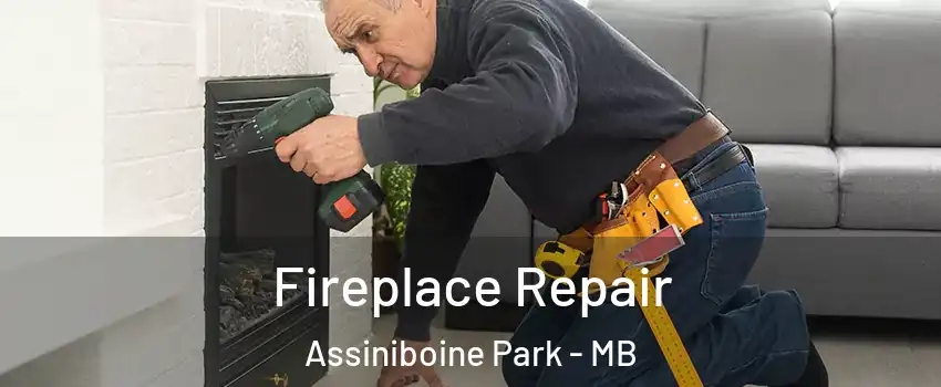  Fireplace Repair Assiniboine Park - MB