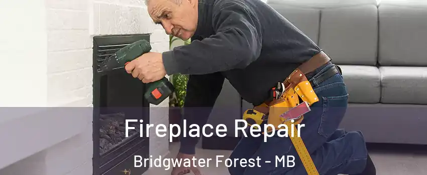  Fireplace Repair Bridgwater Forest - MB