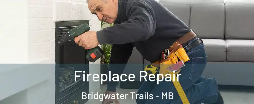  Fireplace Repair Bridgwater Trails - MB
