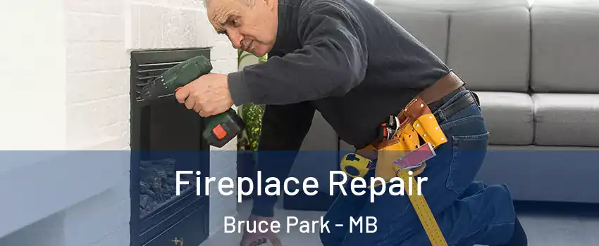  Fireplace Repair Bruce Park - MB