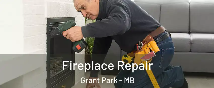  Fireplace Repair Grant Park - MB
