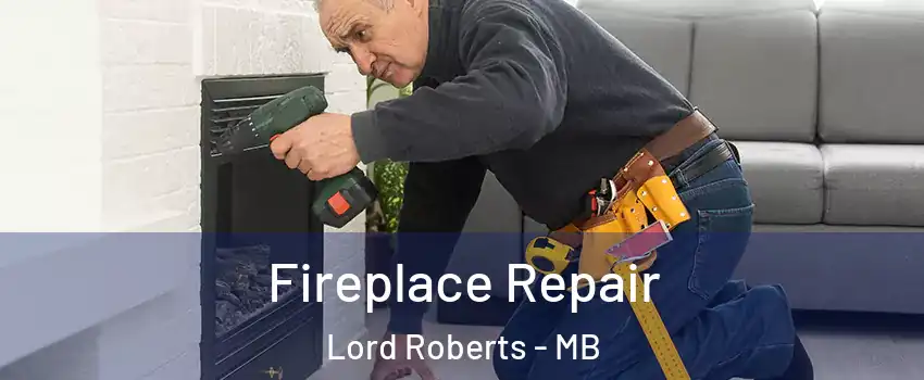  Fireplace Repair Lord Roberts - MB
