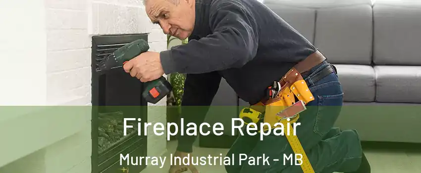  Fireplace Repair Murray Industrial Park - MB