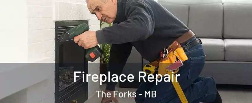  Fireplace Repair The Forks - MB