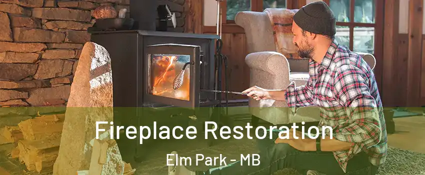  Fireplace Restoration Elm Park - MB