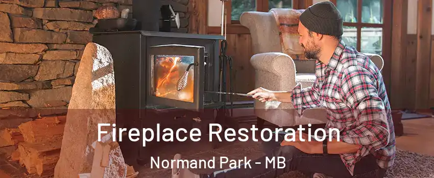  Fireplace Restoration Normand Park - MB
