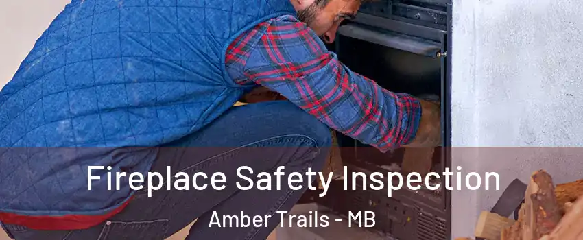  Fireplace Safety Inspection Amber Trails - MB