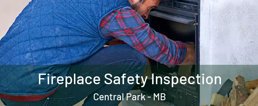  Fireplace Safety Inspection Central Park - MB