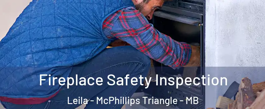  Fireplace Safety Inspection Leila - McPhillips Triangle - MB