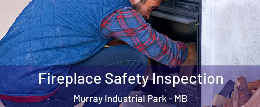  Fireplace Safety Inspection Murray Industrial Park - MB