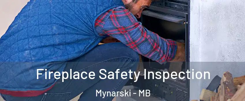  Fireplace Safety Inspection Mynarski - MB