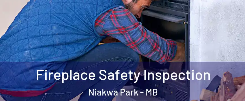  Fireplace Safety Inspection Niakwa Park - MB
