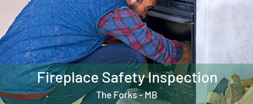  Fireplace Safety Inspection The Forks - MB