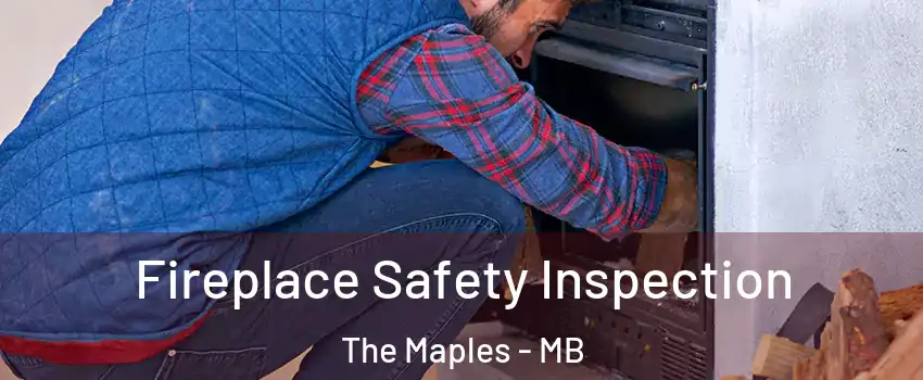  Fireplace Safety Inspection The Maples - MB