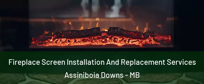  Fireplace Screen Installation And Replacement Services Assiniboia Downs - MB