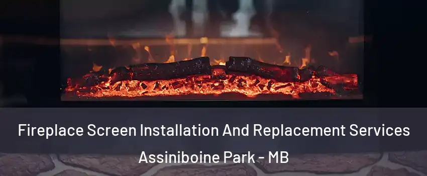  Fireplace Screen Installation And Replacement Services Assiniboine Park - MB