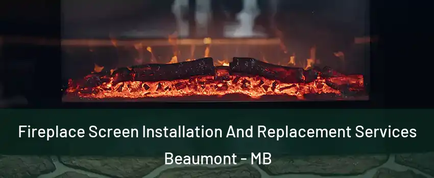  Fireplace Screen Installation And Replacement Services Beaumont - MB