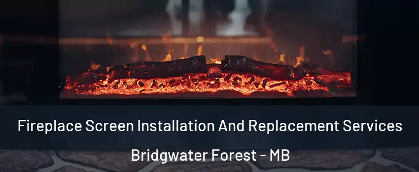  Fireplace Screen Installation And Replacement Services Bridgwater Forest - MB