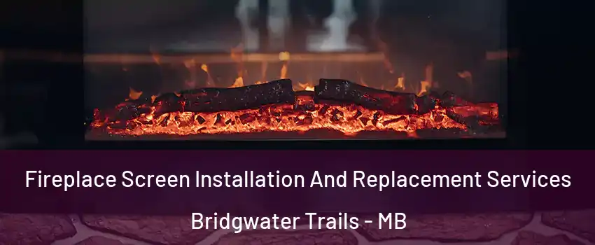  Fireplace Screen Installation And Replacement Services Bridgwater Trails - MB