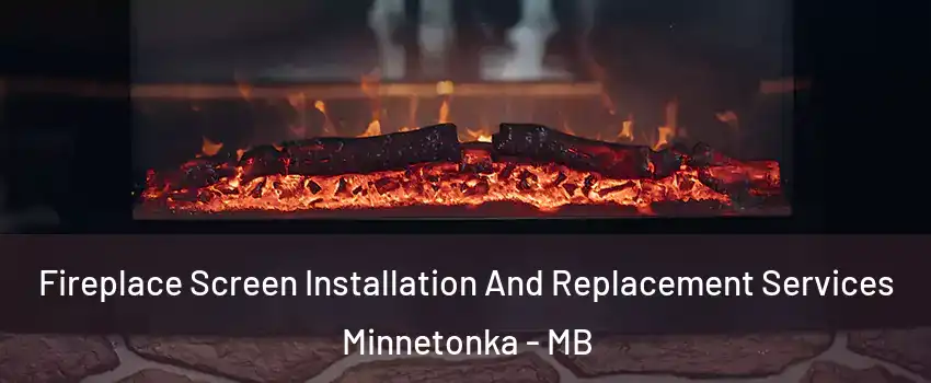  Fireplace Screen Installation And Replacement Services Minnetonka - MB