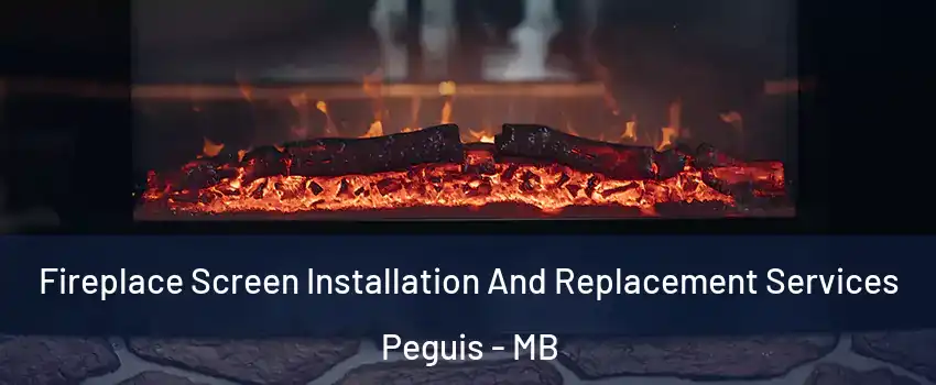  Fireplace Screen Installation And Replacement Services Peguis - MB