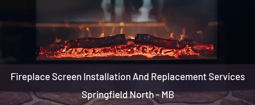  Fireplace Screen Installation And Replacement Services Springfield North - MB