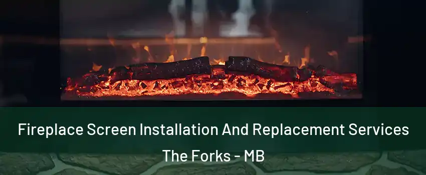  Fireplace Screen Installation And Replacement Services The Forks - MB