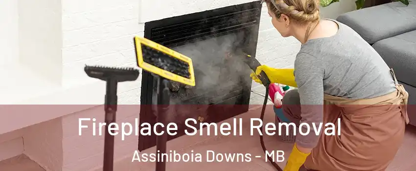  Fireplace Smell Removal Assiniboia Downs - MB