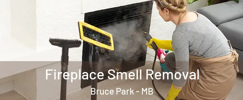  Fireplace Smell Removal Bruce Park - MB