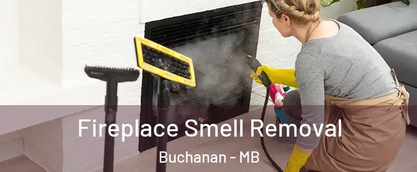  Fireplace Smell Removal Buchanan - MB