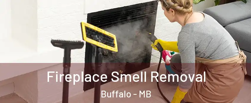  Fireplace Smell Removal Buffalo - MB