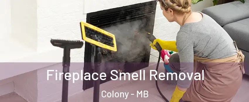  Fireplace Smell Removal Colony - MB