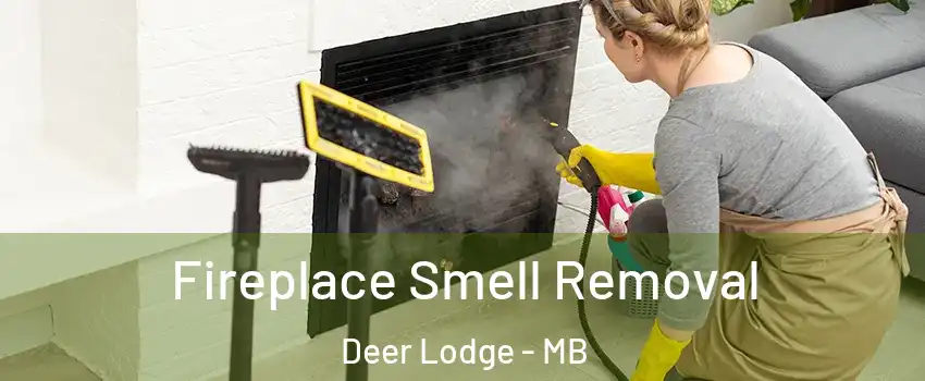  Fireplace Smell Removal Deer Lodge - MB