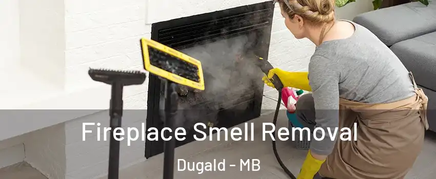  Fireplace Smell Removal Dugald - MB