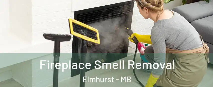  Fireplace Smell Removal Elmhurst - MB