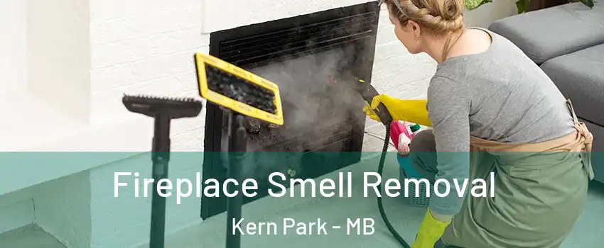  Fireplace Smell Removal Kern Park - MB