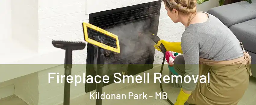  Fireplace Smell Removal Kildonan Park - MB
