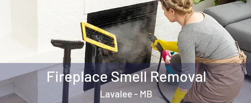  Fireplace Smell Removal Lavalee - MB